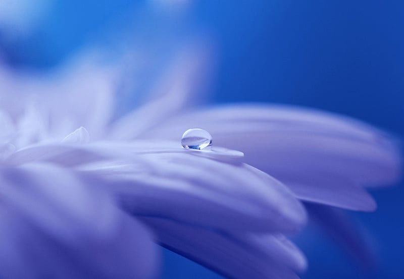 Dreamlike World