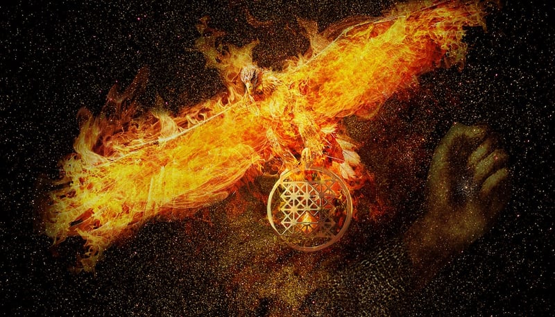 Phoenix Rising Sanctuary